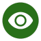 Vision Icon